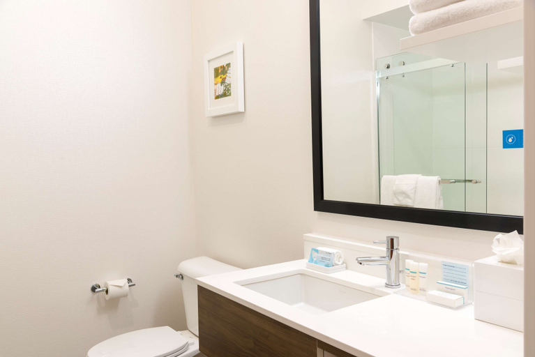 Bathroom 4, Hampton Inn & Suites East Lansing/Okemos , Ingham