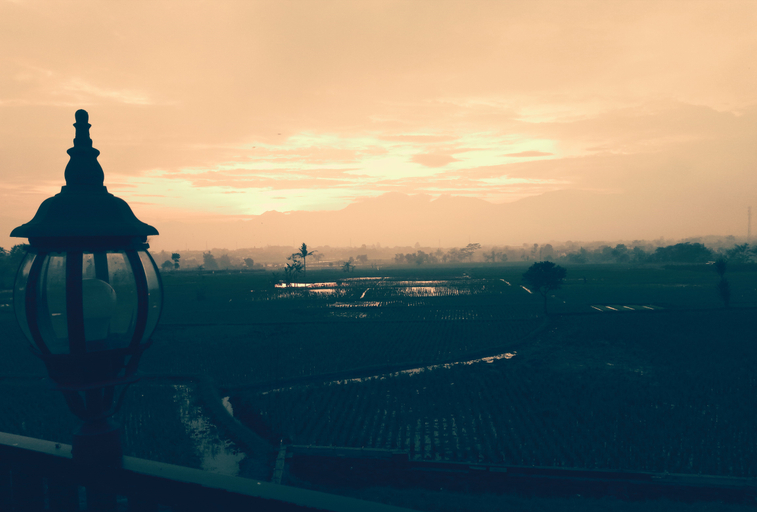 Scenery 16