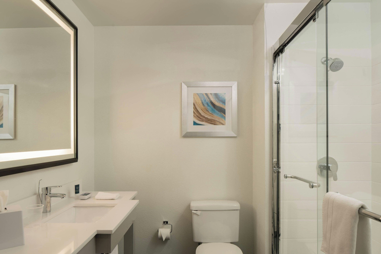 Bathroom 4, Four Points by Sheraton Dallas Arlington Entertainment District, Arlington