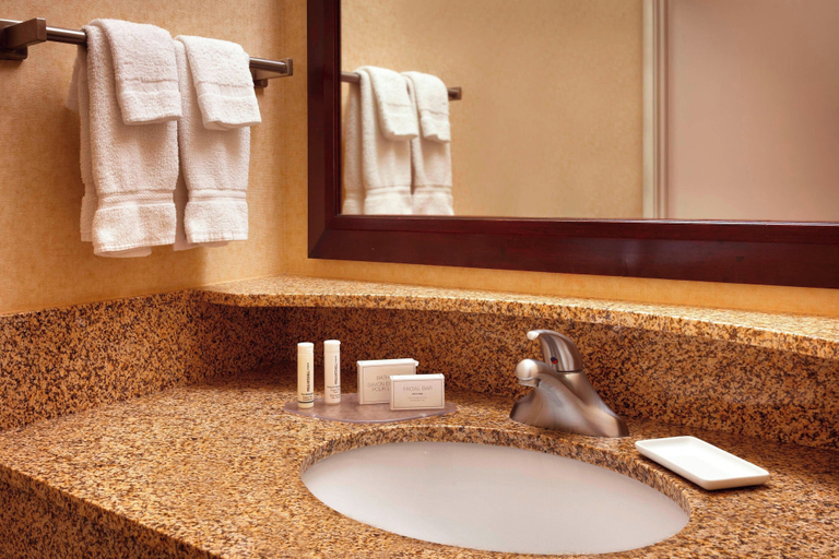Bathroom 4, SpringHill Suites by Marriott Salt Lake City Downtown, Salt Lake