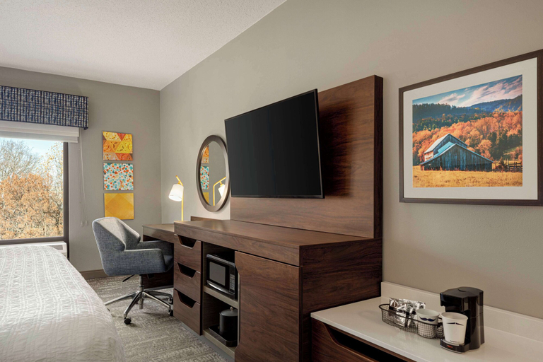 Others 3, Hampton Inn Waynesboro/Stuarts Draft, Augusta