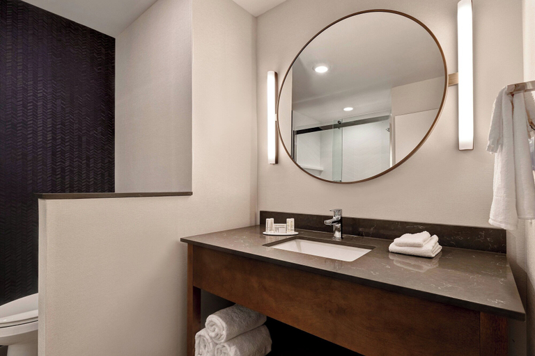 Bathroom 4, Fairfield Inn & Suites by Marriott St. Paul Eagan, Dakota