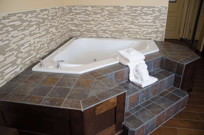 Bathroom 5, Hilton Garden Inn Watertown/Thousand Islands, Jefferson