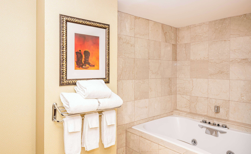 Bathroom 5, Hilton Richardson Dallas, Dallas