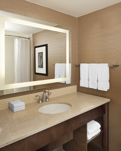 Bathroom 4, Sheraton Ann Arbor Hotel, Washtenaw