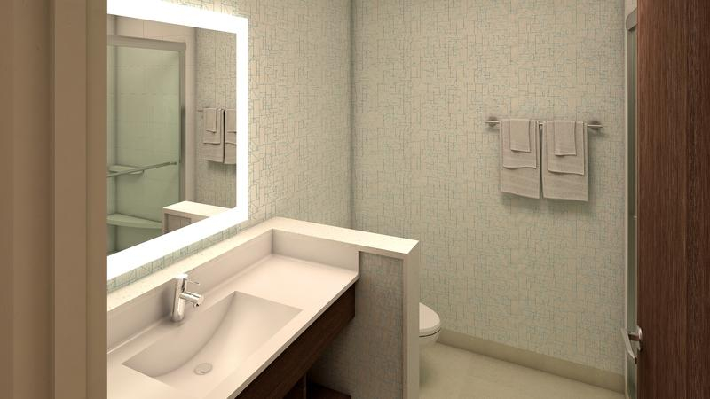 Bathroom, Holiday Inn Express & Suites COMMERCE by IHG, Banks