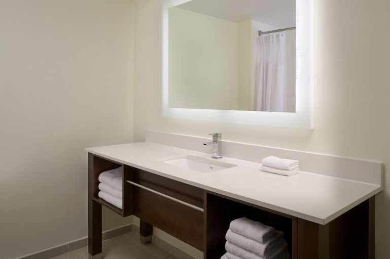 Bathroom 4, Delta Hotels by Marriott West Palm Beach, Palm Beach