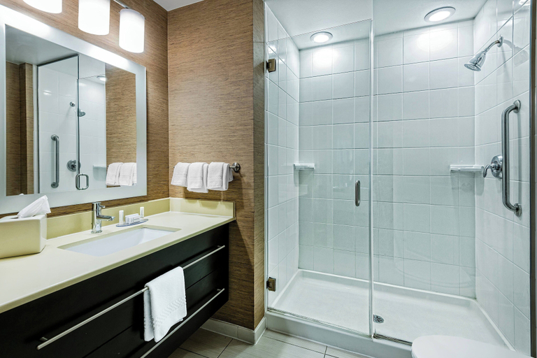 Bathroom 3, TownePlace Suites by Marriott San Antonio Downtown Riverwalk, Bexar