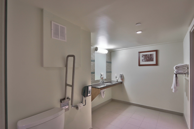 Bathroom 4, Blue Mountain Resort Inn, Grey