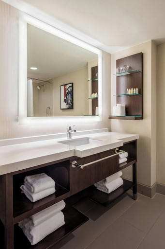 Bathroom 4, Delta Hotels By Marriott Philadelphia Airport, Delaware
