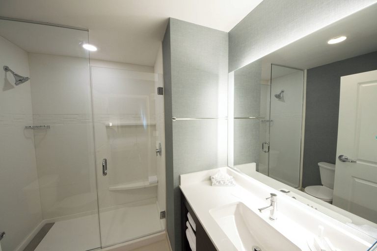 Bathroom 5, Residence Inn Harlingen, Cameron