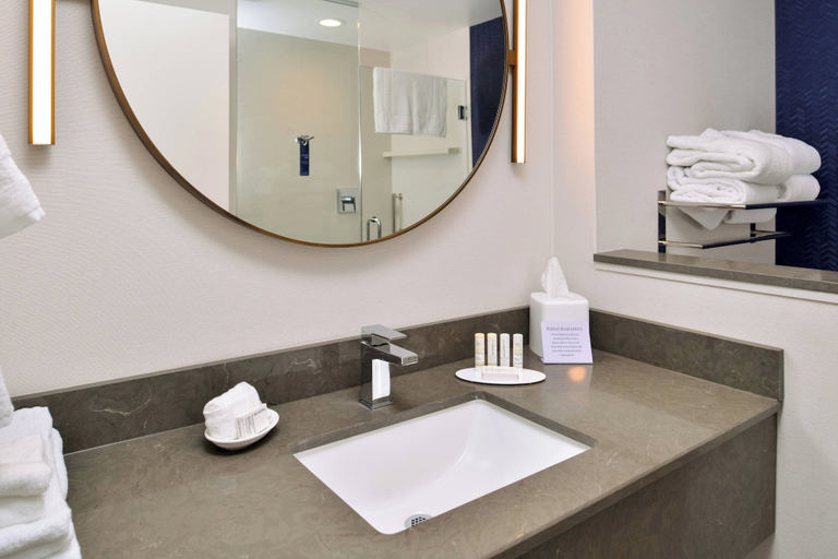 Bathroom 3, Fairfield Inn & Suites by Marriott Canton, Saint Lawrence