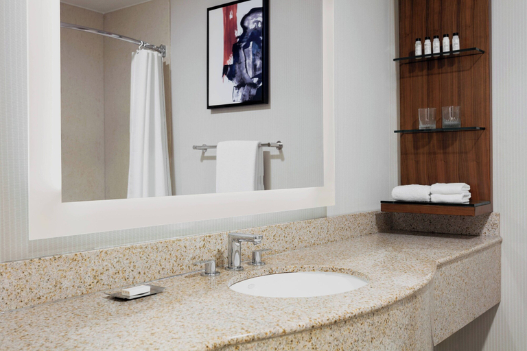 Bathroom 4, Delta Hotels by Marriott Burlington, Chittenden