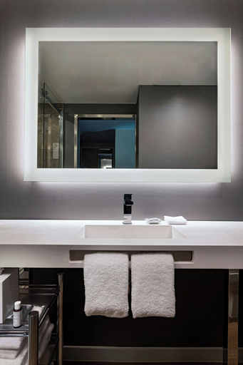 Bathroom 4, AC Hotel Fort Worth Downtown, Fort Worth