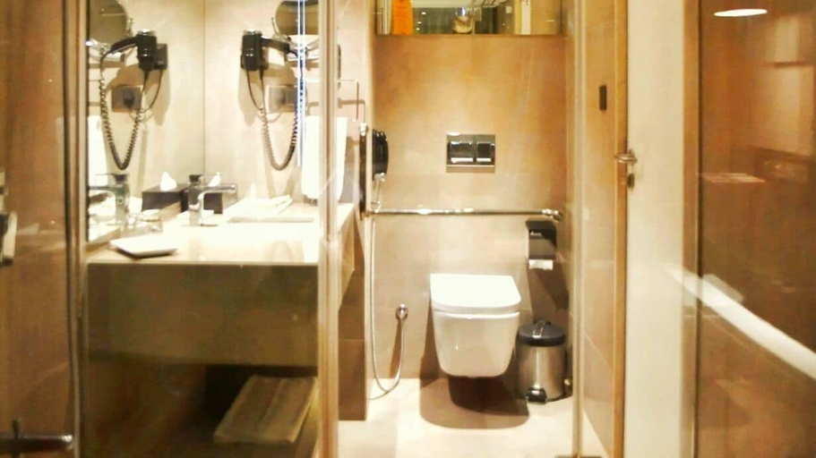 Bathroom 5, Sayaji Vadodara, Vadodara