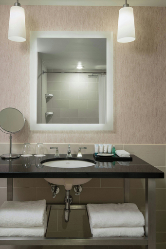 Bathroom 5, The Westin Tysons Corner, Fairfax