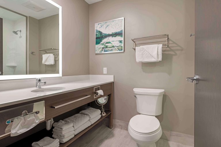 Bathroom 4, Best Western Plus Grand Rapids MN, Itasca