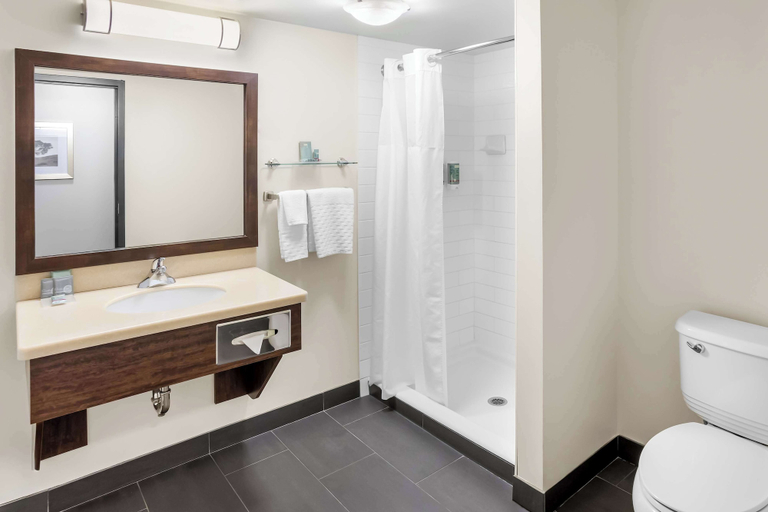 Bathroom 4, Best Western Thompson Hotel & Suites, Division No. 22