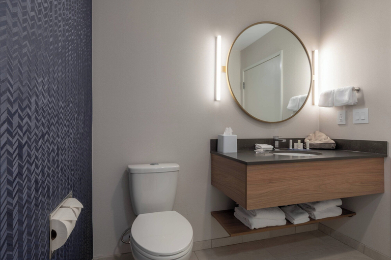 Bathroom 3, Fairfield Inn & Suites by Marriott Revelstoke, Columbia-Shuswap