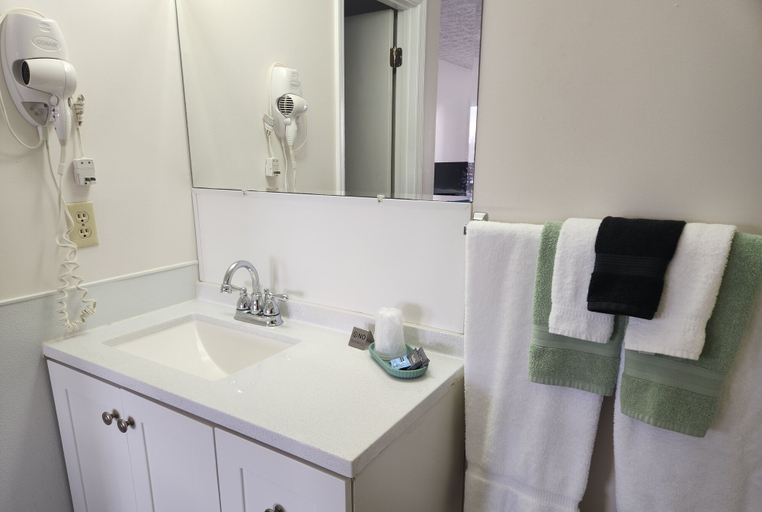 Bathroom 4, Fox Mountain Inn, Wythe