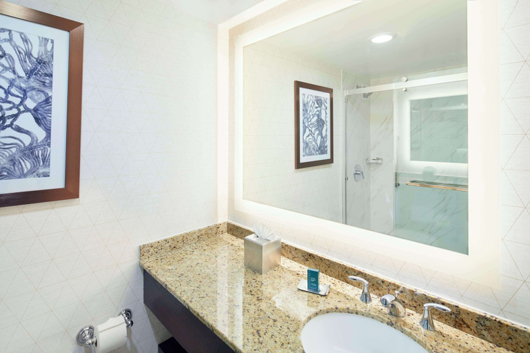 Bathroom 5, DoubleTree by Hilton Atlanta - Roswell, Fulton