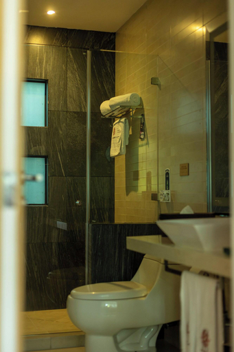 Bathroom 5, Maria Condesa, Mexico City