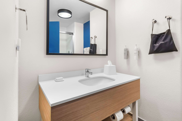 Bathroom 5, Spark by Hilton Pearland, Brazoria