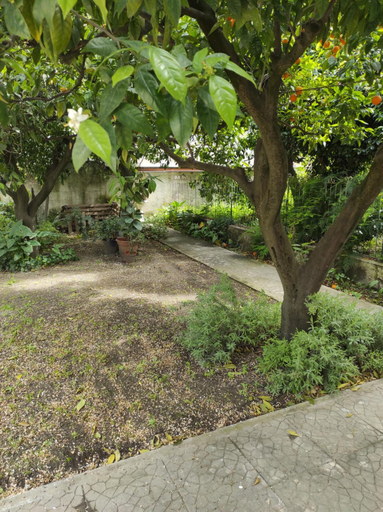 Garden, SUITE HOME VIA ROMA, Napoli