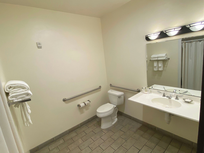 Bathroom 5, Kress Inn, an Ascend Collection Hotel, Brown