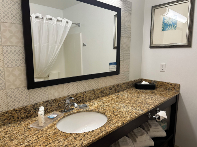 Bathroom 4, Country Inn & Suites by Radisson, Owatonna, MN, Steele