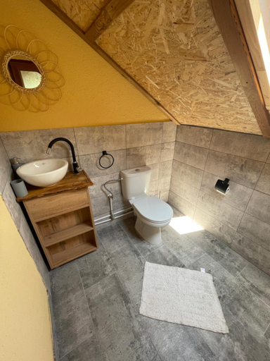 Bathroom 5, Complex Bradisor, Malaia
