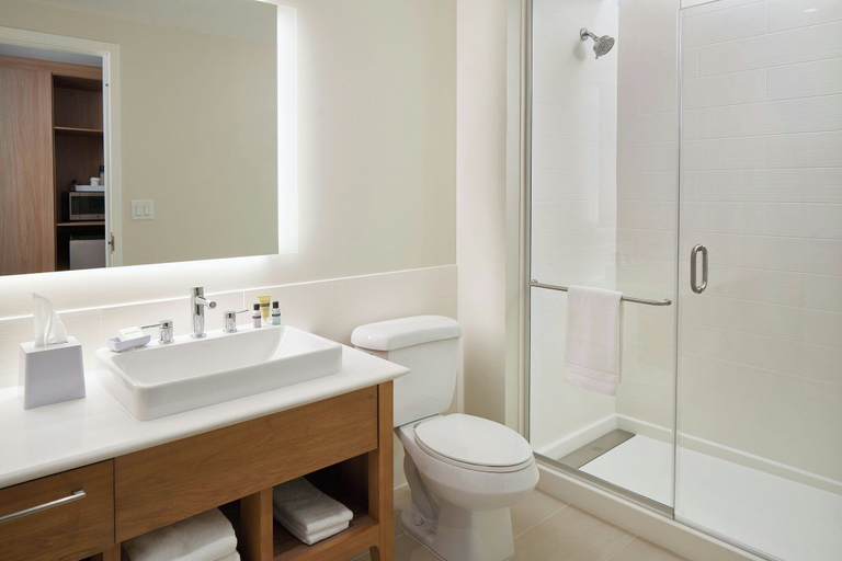 Bathroom 5, Element by Marriott Orlando at SeaWorld, Orange