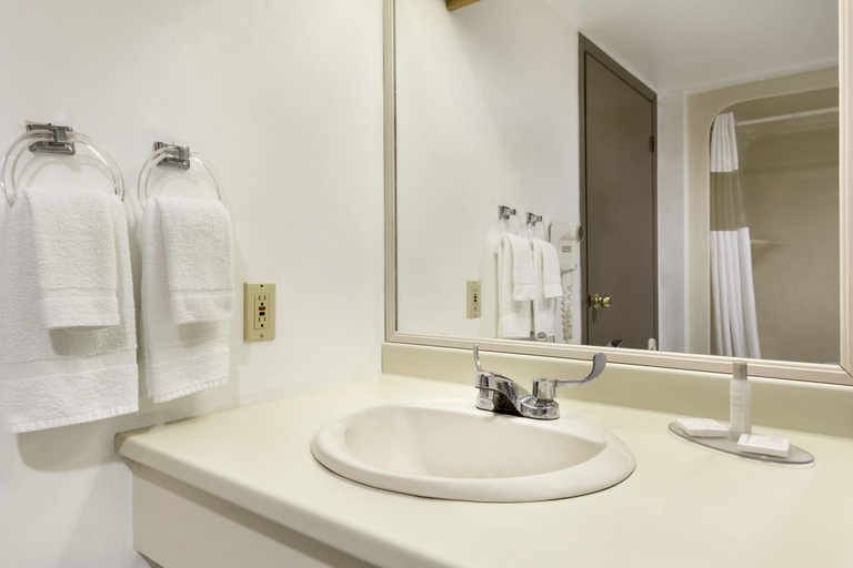 Bathroom 2, Spark by Hilton Brockville, Leeds and Grenville