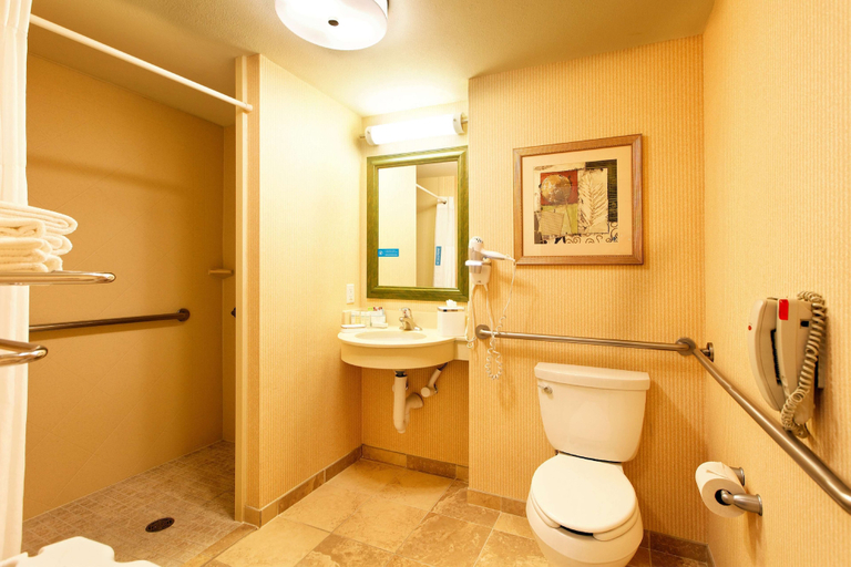 Bathroom 4, Hampton Inn Montrose, Montrose