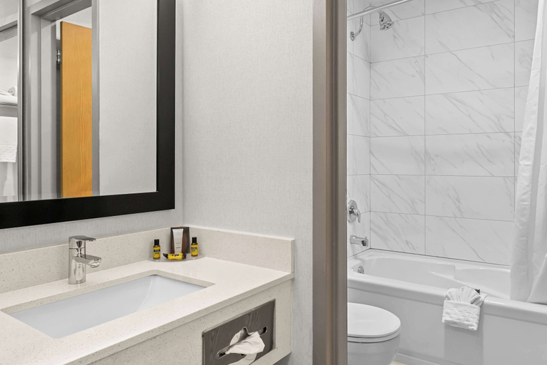 Bathroom 4, Best Western Plus Langley Inn, Greater Vancouver