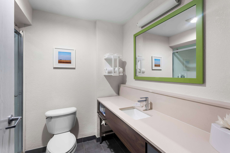Bathroom 4, Hampton Inn Marion, IN, Grant