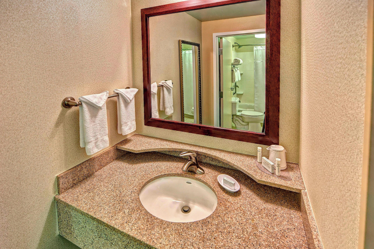 Bathroom 5, SpringHill Suites Marriott Norfolk Old Dominion University, Norfolk