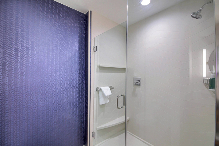 Bathroom 5, Fairfield Inn & Suites by Marriott Dallas Cedar Hill, Dallas