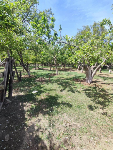 Others 4, Guest house Chaika Гостевои дом Чаика, Ton