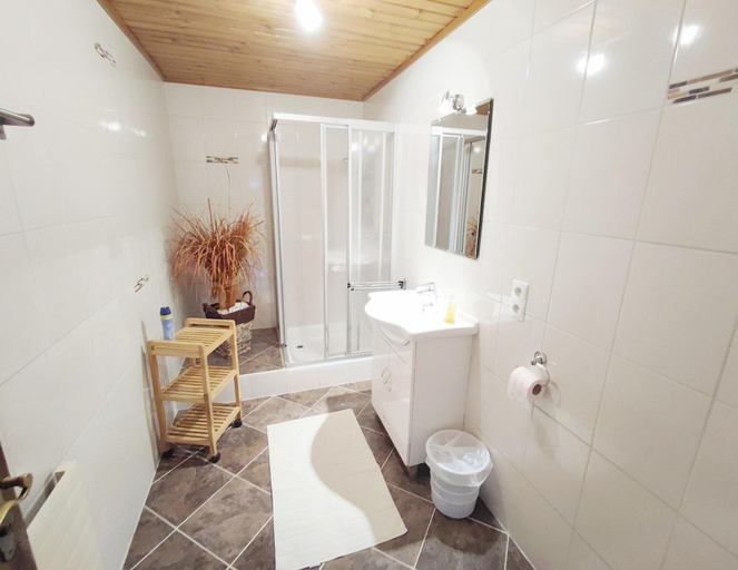 Bathroom 4, Chalet in Hippach Near Ski Paradise, Schwaz