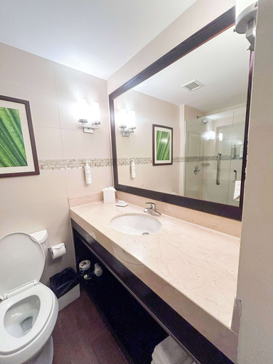 Bathroom 5, Hilton Garden Inn Panama City Downtown, Panama, Panamá