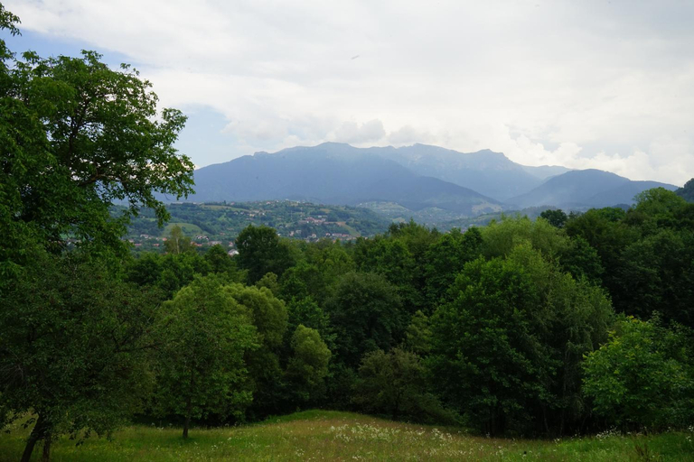 Others 4, pensiunea Bella Predelut, Bran