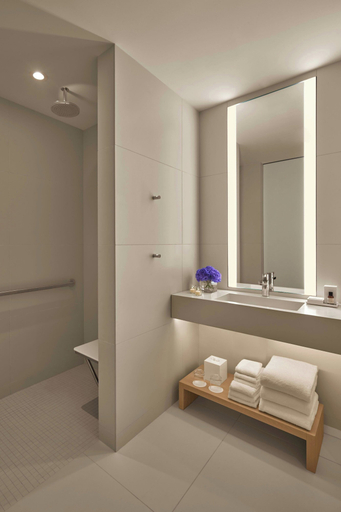 Bathroom 5, The Times Square EDITION, New York