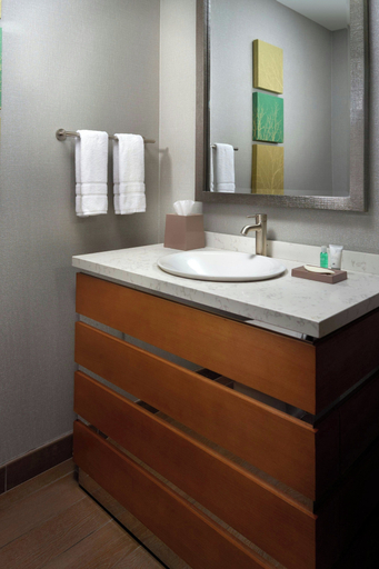 Bathroom 5, The Westin Chattanooga, Hamilton