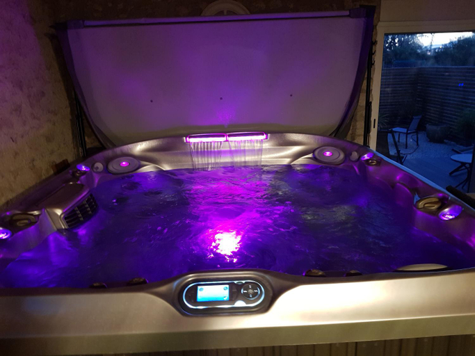 Others 2, Le Grand Cedre Spa et sauna interieur piscine, Loir-et-Cher