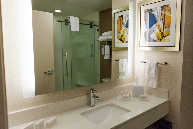 Bathroom 4, Fairfield Inn & Suites by Marriott Rockingham, Richmond