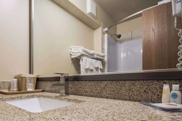 Bathroom 5, Comfort Inn & Suites Langley, Greater Vancouver