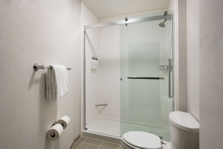 Bathroom 4, Springhill Suites By Marriott Newnan, Coweta