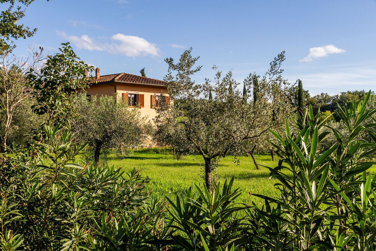 Exterior & Views 2, Agriturismo Bio Fattoria Casetta, Grosseto