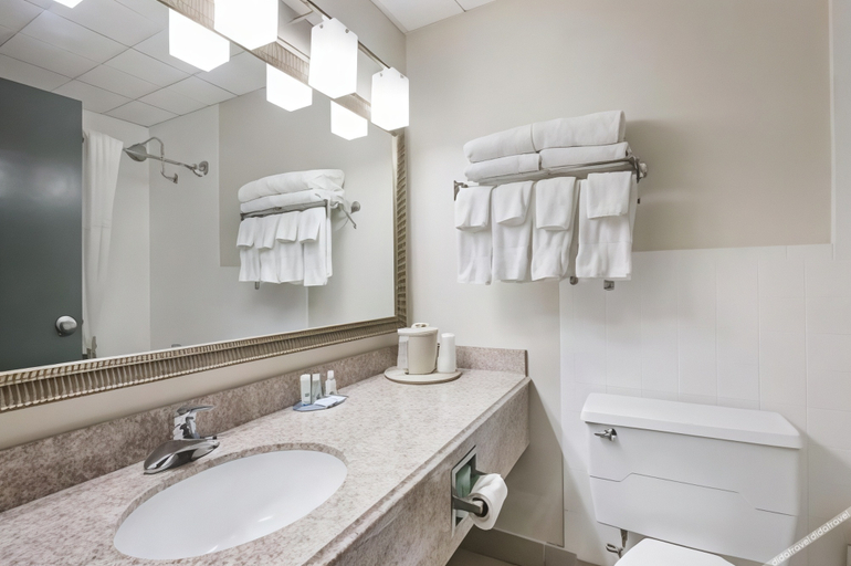 Bathroom, Quality Inn Joliet, Will